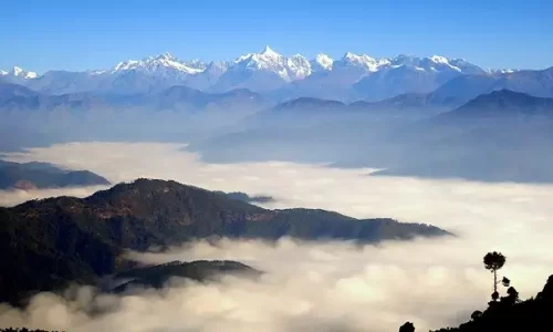 Snowfall-in-Ranikhet-og
